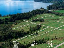  Terreno (Parcela) en venta en Chile, Entre Lagos, Osorno, Los Lagos, Chile