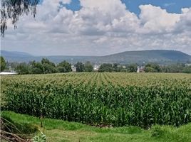  Grundstück zu verkaufen in Tula De Allende, Hidalgo, Tula De Allende