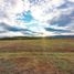  Land for sale in Palermo, Huila, Palermo, Huila
