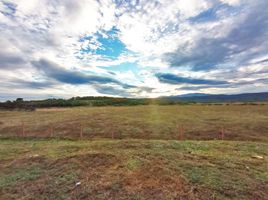  Land for sale in Palermo, Huila, Palermo