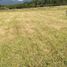  Terrain for sale in Llanquihue, Los Lagos, Puerto Varas, Llanquihue