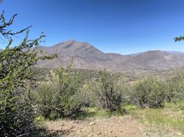  Land for sale in Valparaiso, San Esteban, Los Andes, Valparaiso