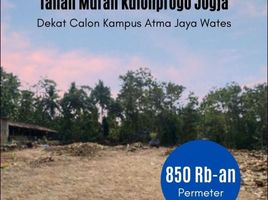  Tanah for sale in Yogyakarta, Pengasih, Kulon Progo, Yogyakarta