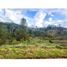  Land for sale in Rionegro, Antioquia, Rionegro