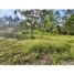  Land for sale in Rionegro, Antioquia, Rionegro