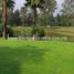  Land for sale in Tequisquiapan, Queretaro, Tequisquiapan, Queretaro
