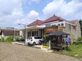 2 Bedroom House for sale in Banyuwangi, East Jawa, Wongsorejo, Banyuwangi