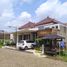 2 Bedroom House for sale in Banyuwangi, East Jawa, Wongsorejo, Banyuwangi