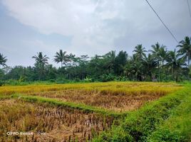  Tanah for sale in Yogyakarta, Seyegan, Sleman, Yogyakarta