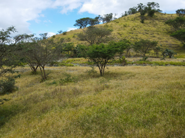  Terrain for sale in Malacatos Valladolid, Loja, Malacatos Valladolid