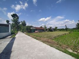  Land for sale in Prambanan, Klaten, Prambanan