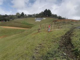 Terrain à vendre à Medellin, Antioquia, Medellin, Antioquia, Colombie