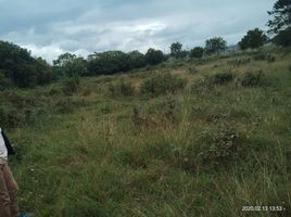  Terreno (Parcela) en venta en Calamba City, Calabarzon, Calamba City, Laguna