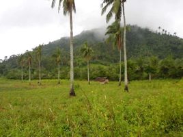  Land for sale in Ligao City, Albay, Ligao City