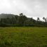  Land for sale in Ligao City, Albay, Ligao City