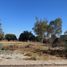  Land for sale in Mineral Del Chico, Hidalgo, Mineral Del Chico