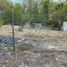  Land for sale in Juarez, Nuevo Leon, Juarez, Nuevo Leon