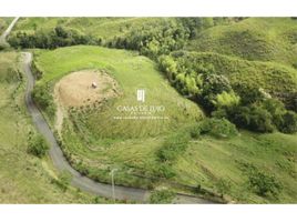  Land for sale in Pereira, Risaralda, Pereira