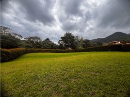  Land for sale in El Carmen De Viboral, Antioquia, El Carmen De Viboral