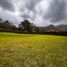  Land for sale in El Carmen De Viboral, Antioquia, El Carmen De Viboral