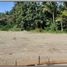  Land for sale in Bantul, Yogyakarta, Sedayu, Bantul