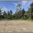  Land for sale in Bantul, Yogyakarta, Sedayu, Bantul