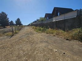  Terreno (Parcela) en venta en Biobío, Los Angeles, Biobío, Biobío
