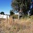  Terreno (Parcela) en venta en Biobío, Los Angeles, Biobío, Biobío