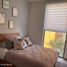 2 Habitación Departamento en venta en Miguel Hidalgo, Ciudad de México, Miguel Hidalgo, Ciudad de México, México