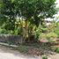  Land for sale in Yogyakarta, Mlati, Sleman, Yogyakarta