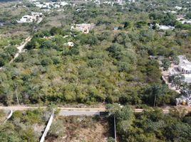 Terrain à vendre à Conkal, Yucatan, Conkal