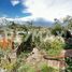  Land for sale in Durango, Durango, Durango, Durango