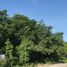  Land for sale in Cozumel, Quintana Roo, Cozumel