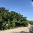  Land for sale in Cozumel, Quintana Roo, Cozumel