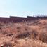  Land for sale in San Luis Potosi, San Luis Potosi, San Luis Potosi, San Luis Potosi