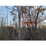 Studio Villa for sale in San Martin, Mendoza, San Martin
