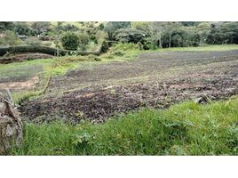 Terrain à vendre à La Ceja, Antioquia, La Ceja, Antioquia