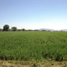 Studio Villa for sale in Colon, Queretaro, Colon