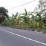  Land for sale in Yogyakarta, Depok, Sleman, Yogyakarta