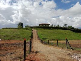  Land for sale in El Carmen De Viboral, Antioquia, El Carmen De Viboral