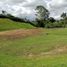  Land for sale in El Carmen De Viboral, Antioquia, El Carmen De Viboral