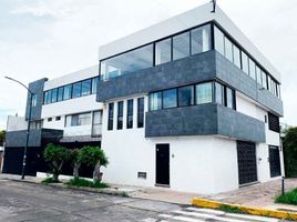 Maison 5 chambre à vendre à Morelia, Michoacan, Morelia, Michoacan
