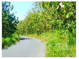  Land for sale in Yogyakarta, Ponjong, Gunung Kidul, Yogyakarta