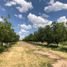 3 Bedroom House for sale in Camargo Chihuahua, Camargo