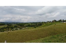  Land for sale in Filandia, Quindio, Filandia