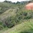  Grundstück zu verkaufen in Guarne, Antioquia, Guarne, Antioquia
