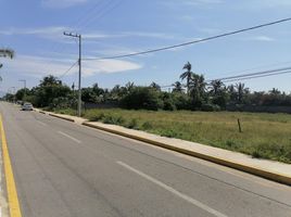  Grundstück zu verkaufen in Coyuca De Benitez, Guerrero, Coyuca De Benitez