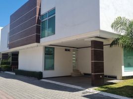 Maison 3 chambre à vendre à Toluca, Mexico, Toluca