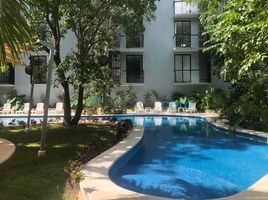 1 Bedroom Apartment for rent in Cozumel, Quintana Roo, Cozumel, Quintana Roo