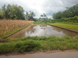  Tanah for sale in Yogyakarta, Seyegan, Sleman, Yogyakarta